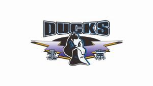 媒体人：北京队新赛季将从欧洲引进一名新助教 很有可能来自希腊